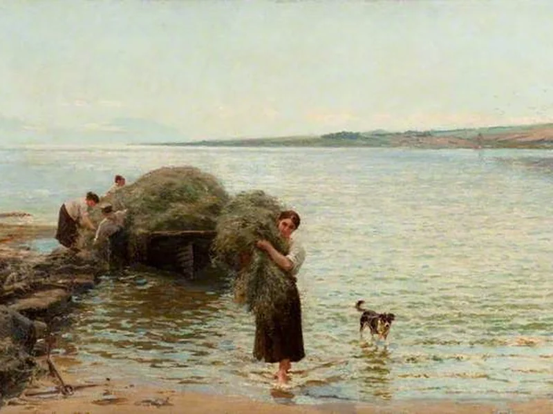 1841-Hamilton Macallum - La fienagione nelle Highlands - Centro risorse dei musei di Glasgow